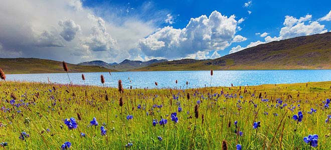 Kaghan Valley & Deosai Plains